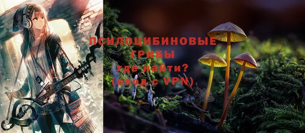прущая мука Аша