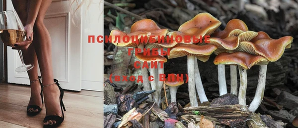сатива Бугульма