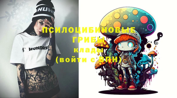 прущая мука Аша