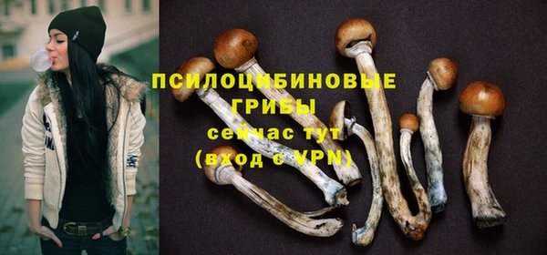 гидра Богородск