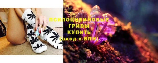 мет Бородино