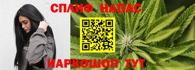 ПСИЛОЦИБИНОВЫЕ ГРИБЫ Бийск