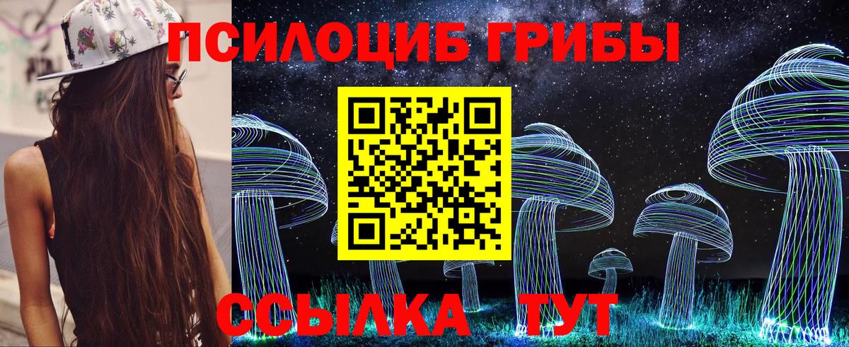 Волжск  Галлюциногенные грибы прущие грибы  Вход с VPN 